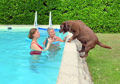 Non Leeloo, on a dit pas sauter !!!