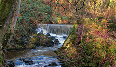 Old Park Wood  Skipton