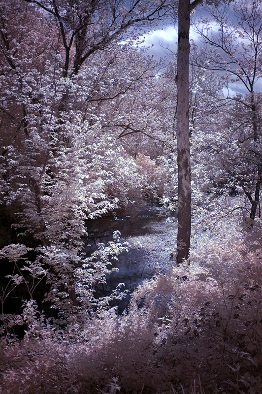 Federal Creek, late spring