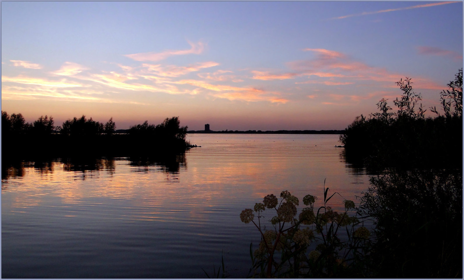 Pink colours in the Evening...