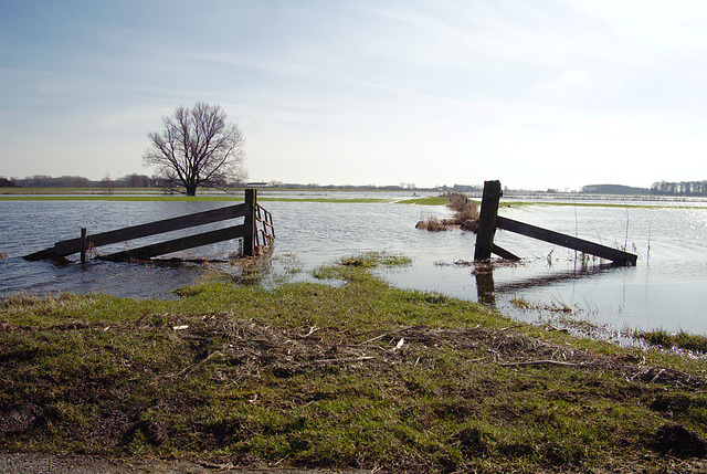 Fence