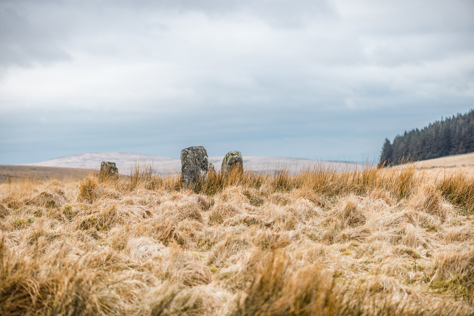 Grey Wethers - 20160319