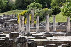 20150521 8048VRAw [F] Glanum, Saint-Remy-de-Provence