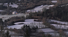 Gelée blanche.... et coups de vent ...météo du jour