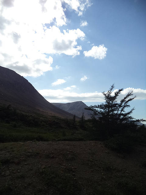 Tablelands landscape