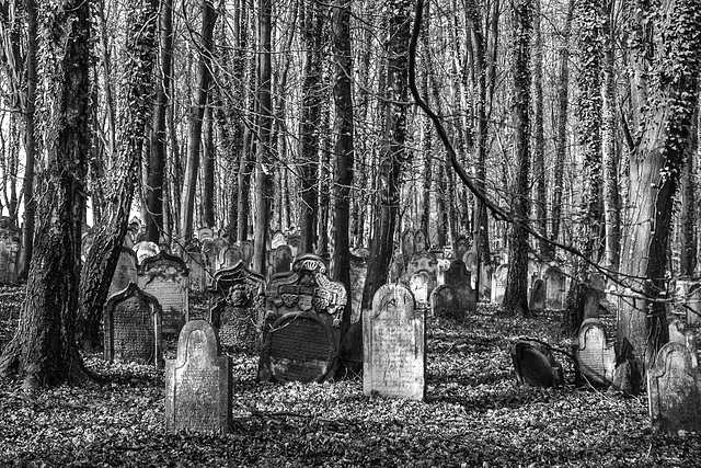 Der Jüdische Friedhof in Waibstadt