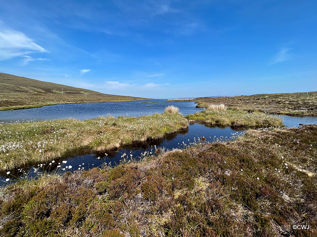 Lochan beside Betty Corrigall's grave
