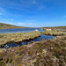 Lochan beside Betty Corrigall's grave