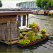 Amsterdam : casa galleggiante con giardino