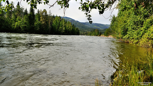 Canada Tour/ Fraser River 1 xPiP