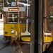 Kirnitzschtalbahn, Elbsandsteingebirge