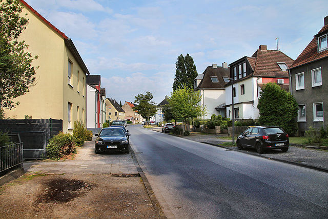 Cottenburgstraße (Castrop-Rauxel) / 3.08.2024