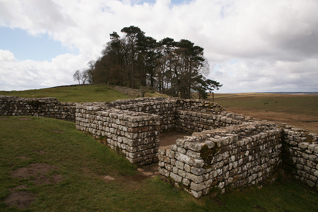 Housesteads Fort