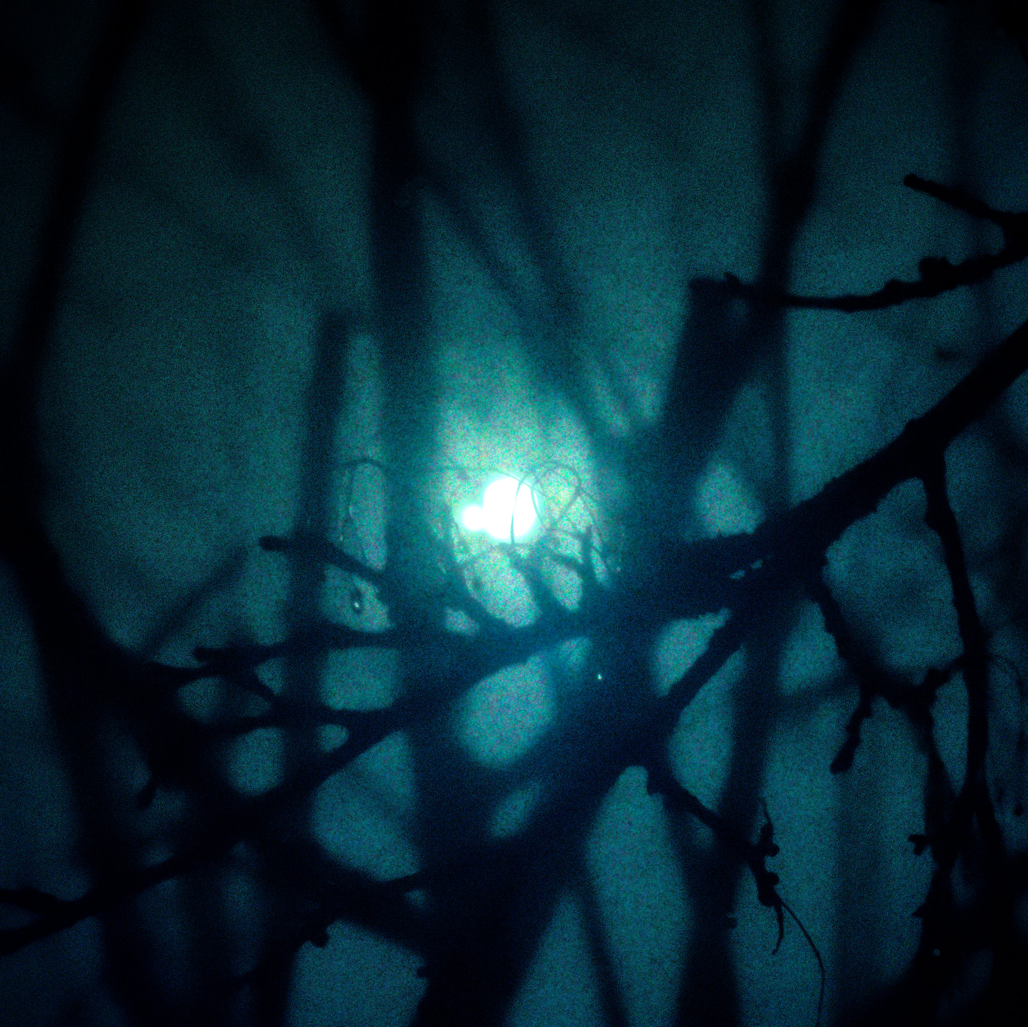 Moon behind & inside @ the same time