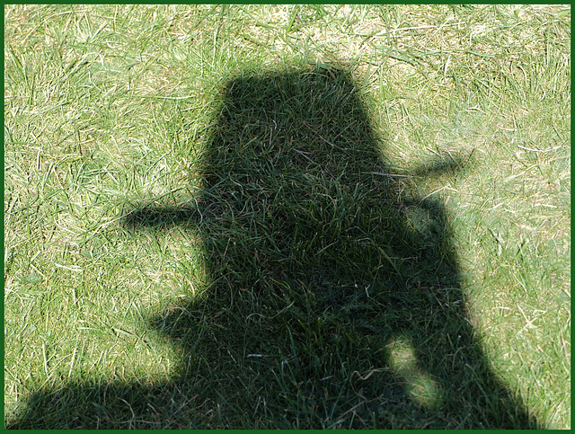 A Portrait of the Artist as Grass - 7 September 2021