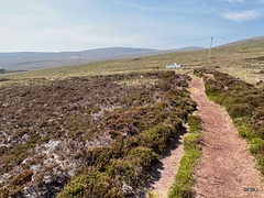 The well-trodden track to Betty Corrigall's grave