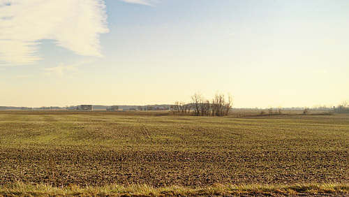 East from Mulliken Road