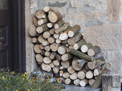 Willow Logs