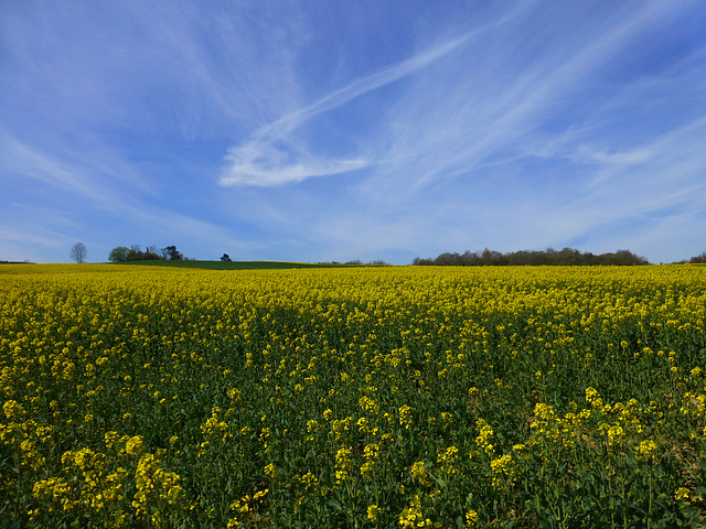 DE - Grafschaft - Birnenrundweg Lantershofen