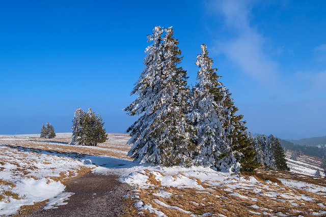 Feldberg