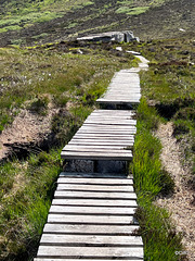 Track uphill to the Dwarfie Stane on Hoy