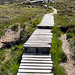 Track uphill to the Dwarfie Stane on Hoy