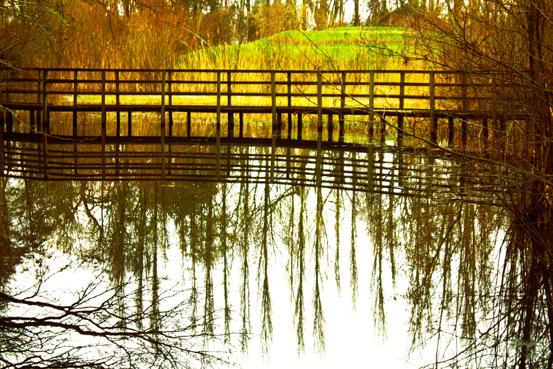 HFF au parc de Gand en Belgique.