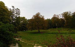 Automne au Parc du Bosquet*********