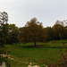 Automne au Parc du Bosquet*********