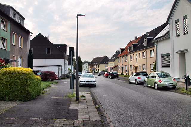 Cottenburgstraße (Castrop-Rauxel) / 3.08.2024