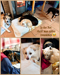 Warten auf das Ende der Silvesternacht ...