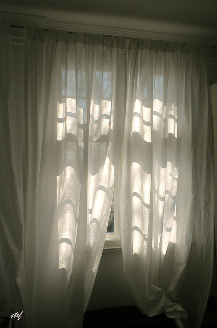 morning view