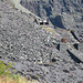 Dinorwig Slate Quarries