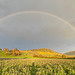 Regenbogen von Wilchingen bis Osterfingen