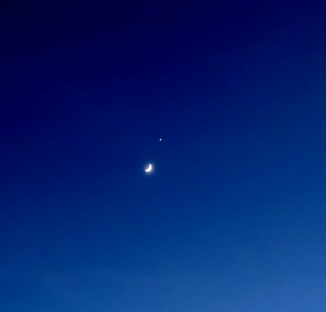 La luna incontra Venere