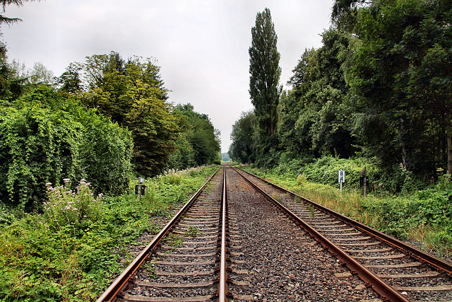 Emschertalbahn (Castrop-Rauxel) / 3.08.2024