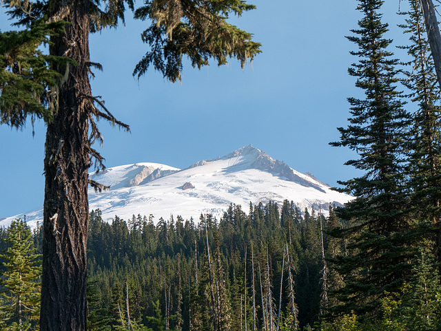 Mt. Baker