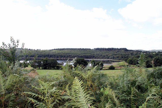 Lac de Guerlédan