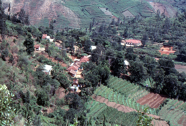 Kleines Teearbeitersiedlung nahe der Heritance Tea Factory bei Kandapola