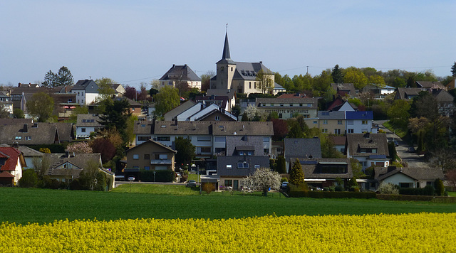 DE - Grafschaft - Blick nach Karweiler