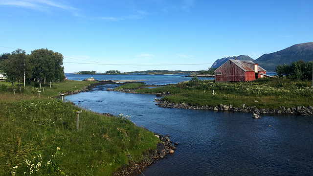 Hamn i Senja.