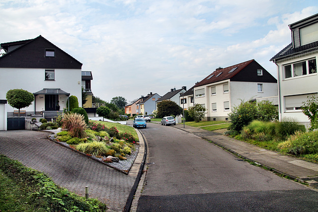 Siedlerweg (Castrop-Rauxel) / 3.08.2024