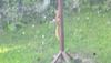 oaw[rsq] - visit : 14June2026  {8 of 18}