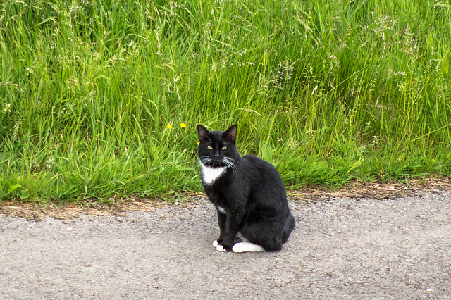 A fellow birdwatcher