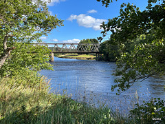 The River Spey at Grantown