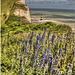Beachy Head, Sussex