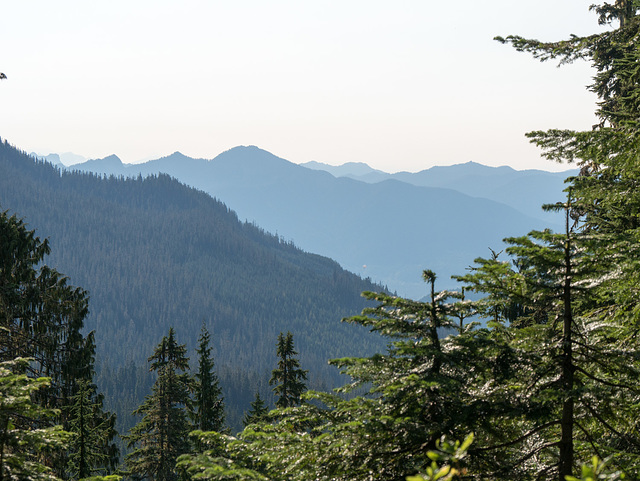 Mt. Baker