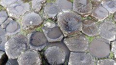 Giants Causeway close up