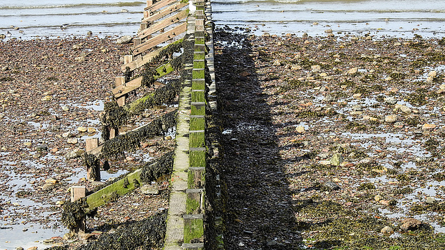 20190610 4987CPw [R~GB] Fishguard, Wales