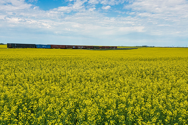 rail siding at Tuxford 4